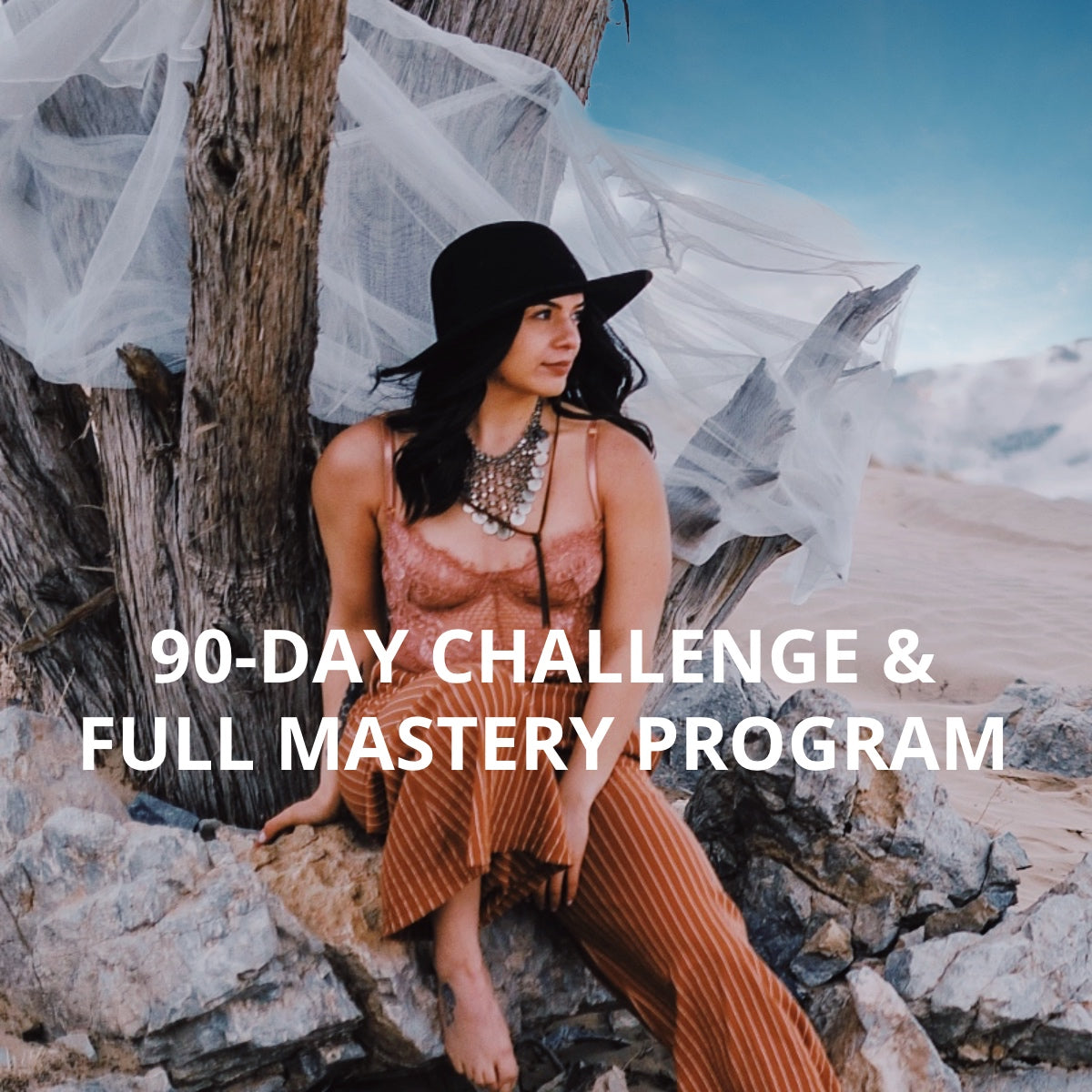 90-Day Challenge & Full Mastery Program